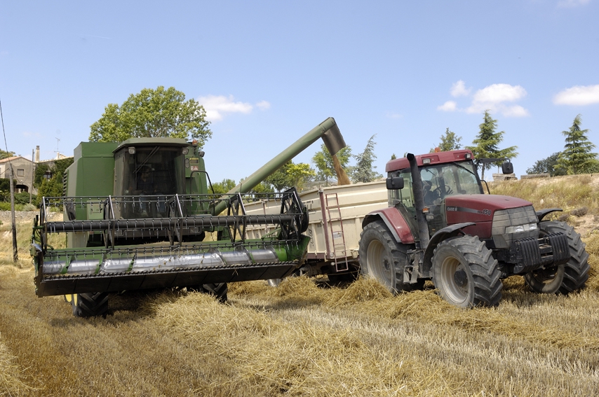 2007. Treballs de sega als camps de la casa