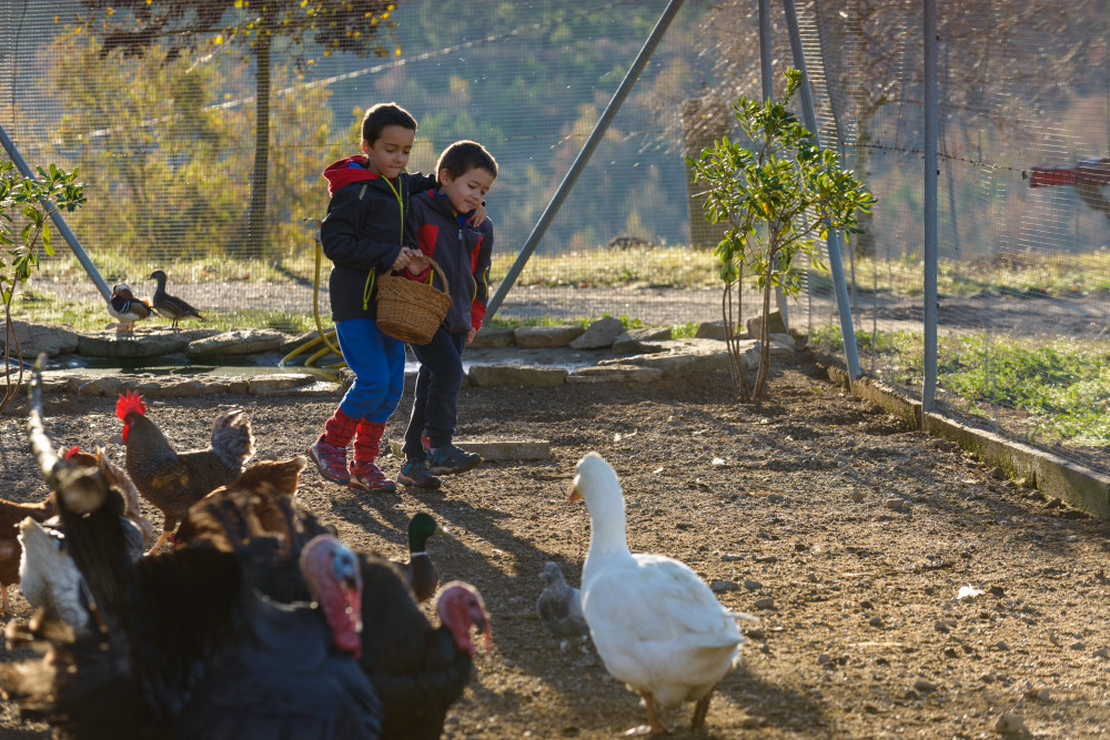 2015. Nens amb els animals de granja de la casa