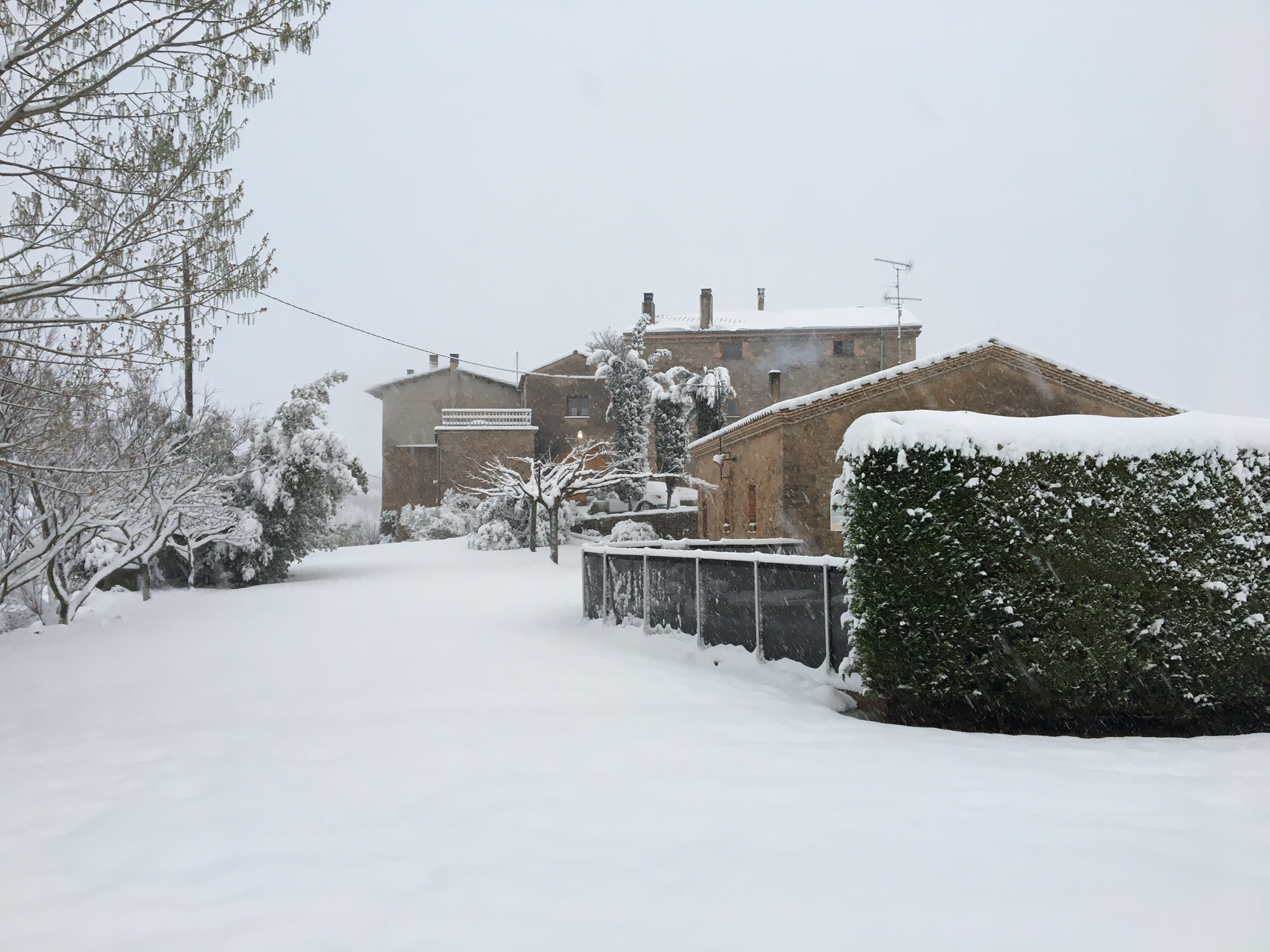2017. Nevada des del jardí de la masia
