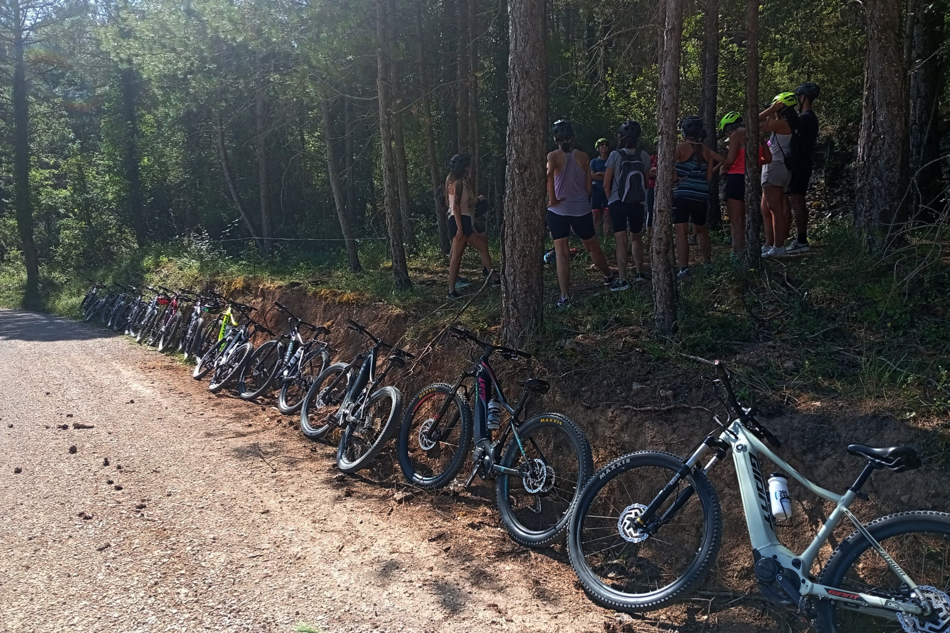 L’Espai Barrina ofereix un entorn ideal per a jornades de cohesió i creixement, en plena natura i lluny de la rutina diària, on reforçar vincles, generar confiança i fomentar la col·laboració. Un espai tranquil que inspira la comunicació i la creativitat.