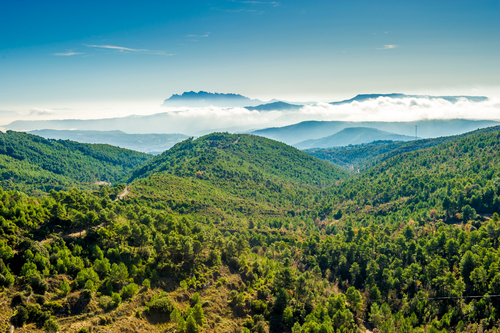 La masia s’aixeca als peus de la Serra de Castelltallat, en un paisatge rural ple de memòria, amb camps, boscos i testimonis de segles d’història. Un entorn de natura serena, horitzons oberts i cel estel·lar que ens connecta amb l’essencial: un territori rural viu.